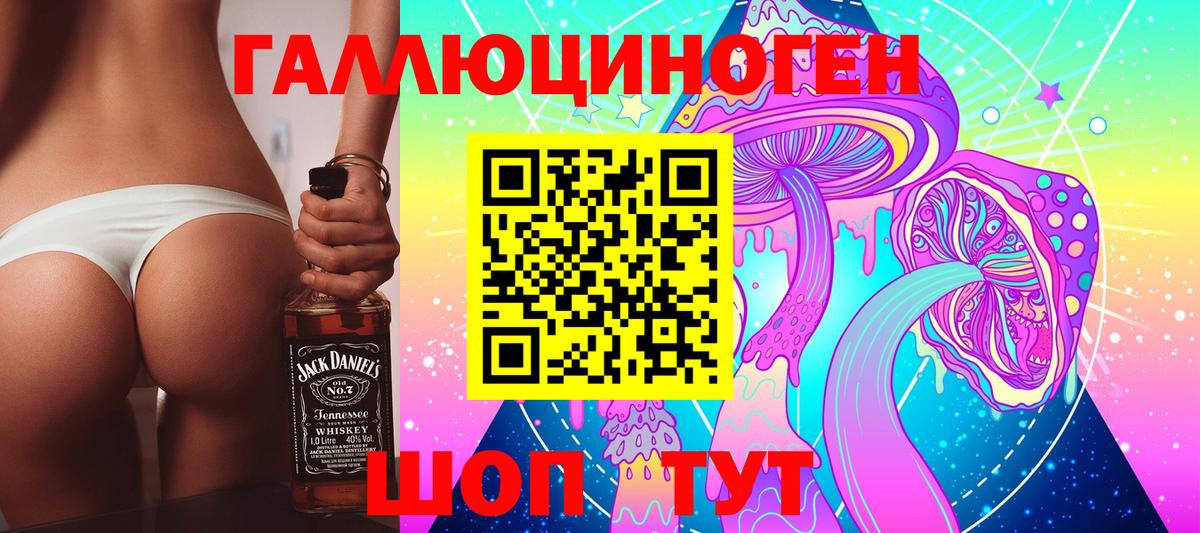 Галлюциногенные грибы Psilocybe  Вход с VPN  Павлово 
